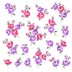 Fototapeta na wymiar Beautiful rose illustration material collection,