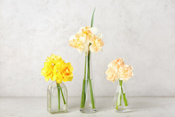 Vases with beautiful narcissus flowers on light background