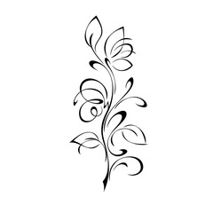 ornament 1808. decorative twig with stylized flowers, leaves and curls in black lines on a white background