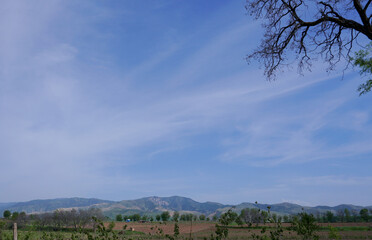 Wide field and cloudy sky