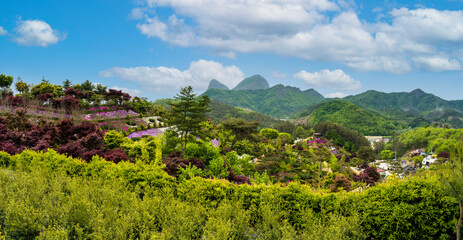 전라북도 진안 꽃잔디 공원에서 본 마이산