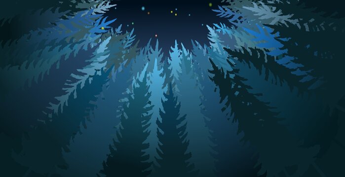 Forest silhouette scene. Bottom up view. A dark clearing among the trees. Landscape with tall plants. Beautiful view. Pines and spruces. Night nature. Illustration vector
