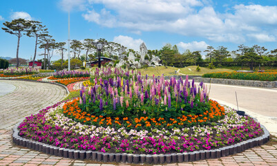곡성 장미 축제장의 형형색색 아름다운 꽃밭