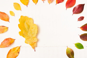 Circle of colorful autumn leaves in the form of a gradient text frame, layout for design on a wooden white background. High quality photo