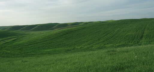 Wide field hills