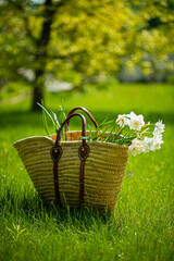 white narcissus in the basket