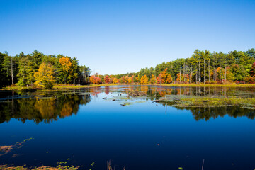 Fototapeta na wymiar Fall foliage reflecting in water at Goodwin State Forest, Connecticut.