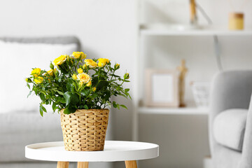 Beautiful yellow roses in pot on table in room