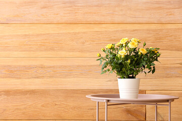 Beautiful yellow roses in pot on table near wooden wall