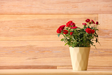 Fototapeta na wymiar Beautiful red roses in pot on shelf near wooden wall