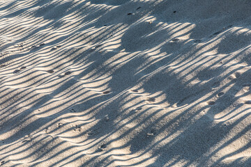 harmonic pattern of shadow at the sandy beach