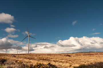 Wind turbine electricity generator in an open field, renewable energy concept. Source of green, clean power. Warm sunny day.