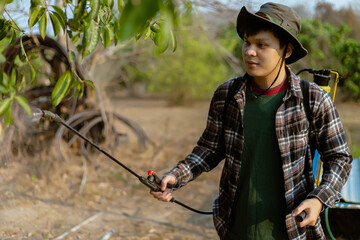 Gardening concept a male gardener getting rid of insects by spraying an organic insecticide to the...