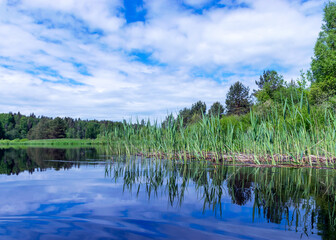 summer landscape from the river, cloud reflections in the water, green trees and grass on the river banks, Sedas River, Latvia