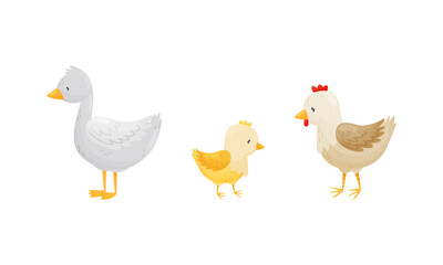 Hen with Yellow Chick and Goose as Farm Animal Vector Set