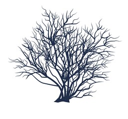 Bare tree without leaves. Dark silhouette. Thickets. Dense crown with many small branches. Or close-up of bush. Winter or autumn season. Isolated on white background. Vector art.