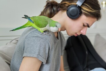 Pet green quaker parrot on shoulder of owner of male teenager