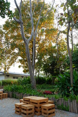 wooden bench in a park