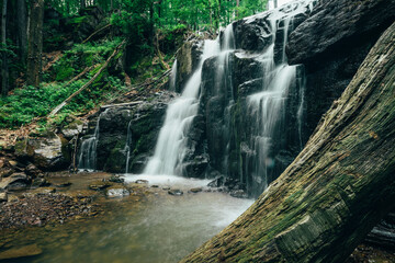 beautiful waterfall with a tree in the foreground for your advertisement