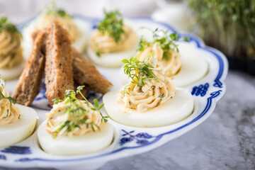 Kalte gefüllte russische Eier mit Frischkäse, Kresse und Kräuter farciert auf Blau Weiß...