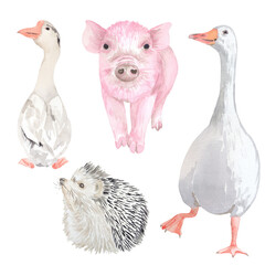 Farm animals watercolor set
