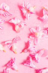 Fresh pink hyacinth flowers with glowing golden shimmer slime as abstract cosmetic pattern, vertical.