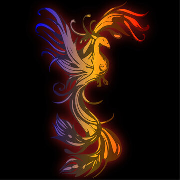 Fire burning Phoenix Bird, phoenix gradient logo, Tattoo, poster design