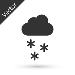 Grey Cloud with snow icon isolated on white background. Cloud with snowflakes. Single weather icon. Snowing sign. Vector