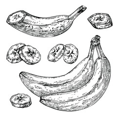 Sketch Banana. Isolated hand drawn bunch, sliced banana pieces.
