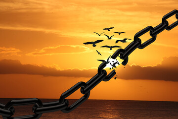 Liberty Concept. Birds fly Away Breaking Metal Chains At Sunrise Over the Sea. Freedom, deliverance, discharge, and liberation concepts - obrazy, fototapety, plakaty