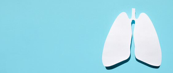 Paper silhouette of anatomical lungs on a blue background. Healthy breathing concept.