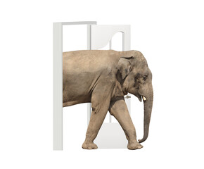 Elephant enters in open door. Opportunities, nature and ecology concepts