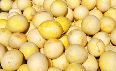 Ripe yellow melons at a farmers market