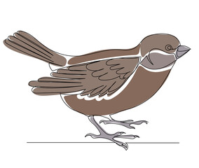 sparrow drawing by one continuous line, isolated