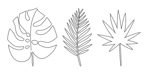 A set of vector tropical leaves. Linear drawing with a single line. Palm leaves for product design, decoration.