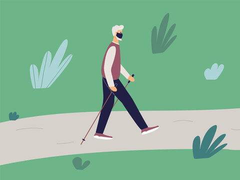 Elderly fit man is engaged in Nordic walking with sticks on  path in the park. Old athletic man walk on foot in the open air adhering to healthy lifestyle.Raster illustration