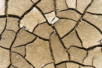 dry cracked earth