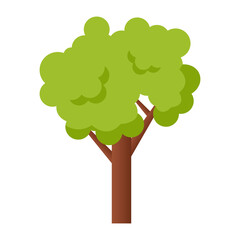 Isolated tree. Flat vector illustration.