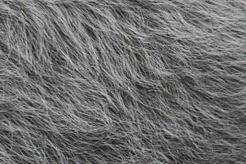Texture of light wool on a dark background
