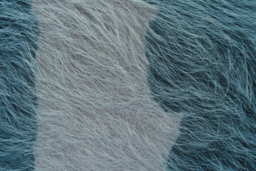 Pork fur and body as background. In blue tones
