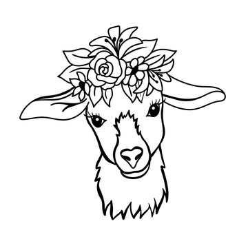 Young goat with flowers on head. Black and white illustration in outline style. Vector Cute Goat Face Isolated On White Background.