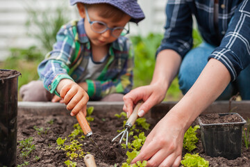 Child and mother gardening in vegetable garden in backyard