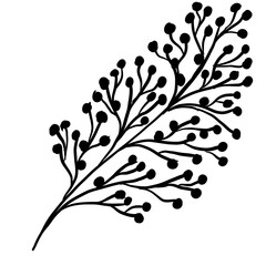 Doodle illustration of outline flower, leaves. Floral graphics