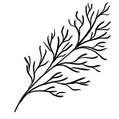 Doodle illustration of outline flower, leaves. Floral graphics