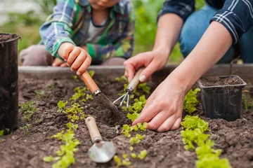 Muurstickers Child and mother gardening in vegetable garden in backyard © perfectlab