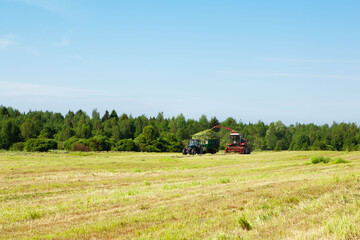 Naklejka premium Hay harvesting in the field. 