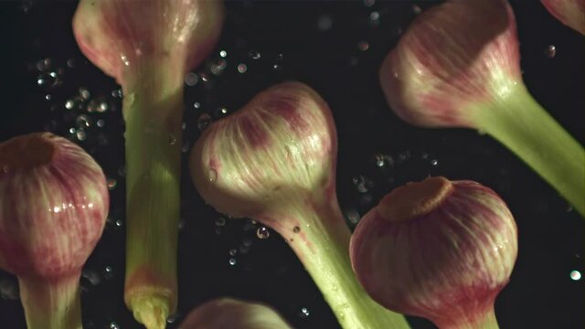 Super slow motion garlic with splashes of water on a black background.Filmed on a high-speed camera at 1000 fps. High quality FullHD footage