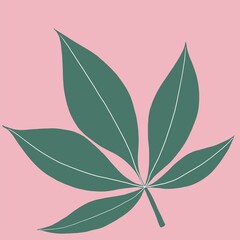 Cannabis leaf freehand drawing on pink background.