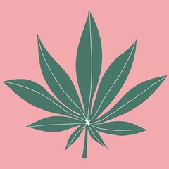 Cannabis leaf freehand drawing on pink background.