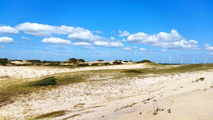 sand dunes on the beach